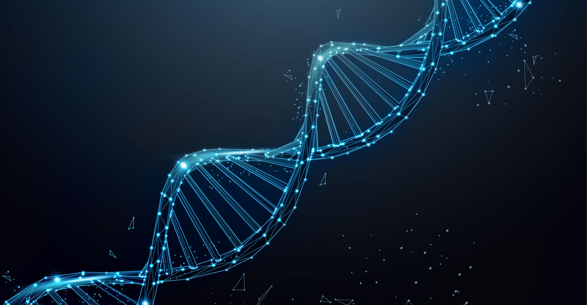 The 2 Intersecting Stands of Your Business DNA